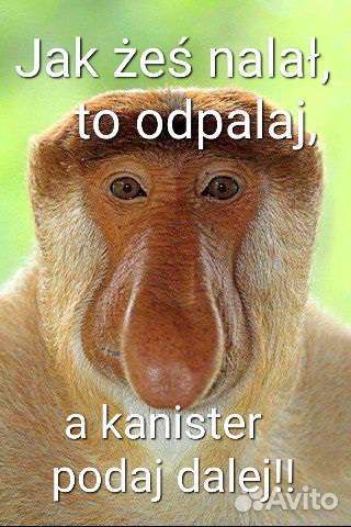 Польский язык. Трудно. Не больно