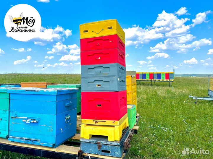 Мед натуральный со своей пасеки