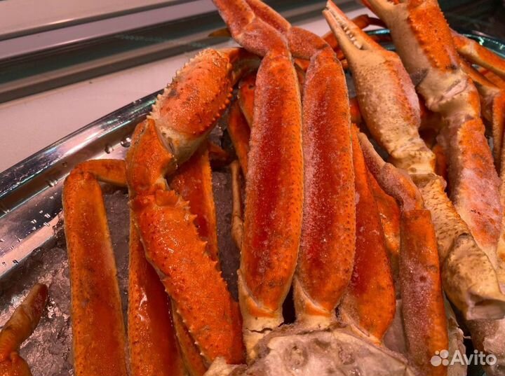 Клешни краба стригуна. Опт