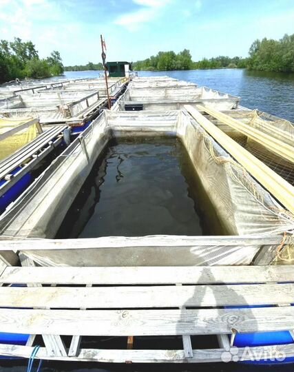 Садок для выращивания рыбы