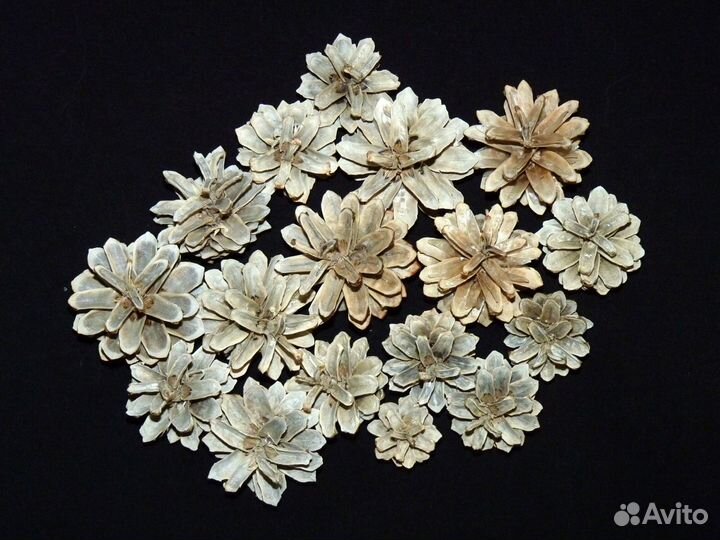 Шишки сосновые отбеленные