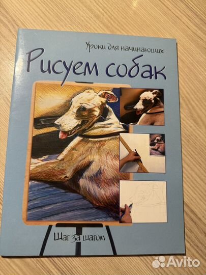 Рисуем собак