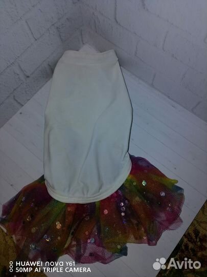 Одежда для маленькой собачки