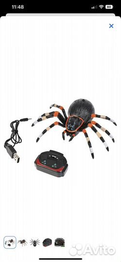 Паук на пульте управления