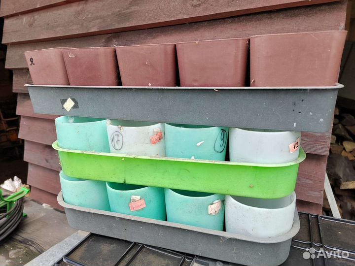 Набор для рассады