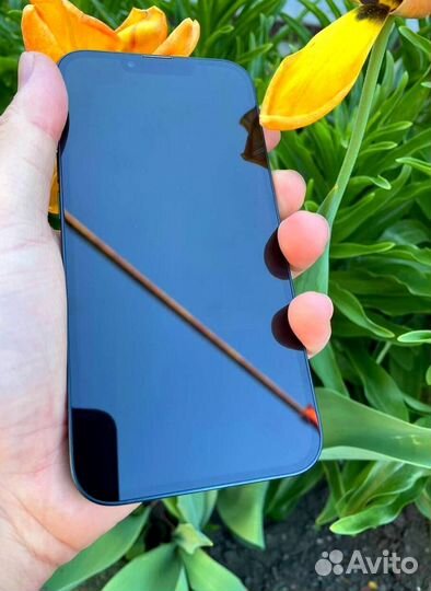 iPhone 13, 256 ГБ
