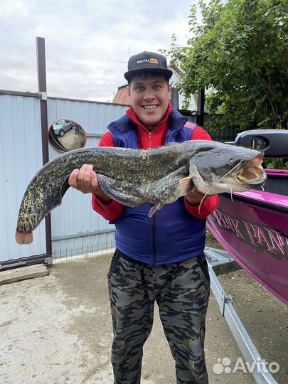 Рыбалка с гидом