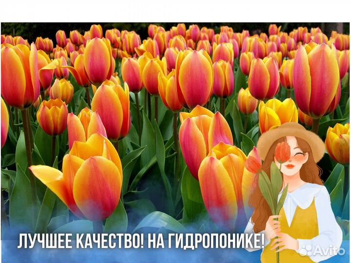 Тюльпаны оптом к 8 марта