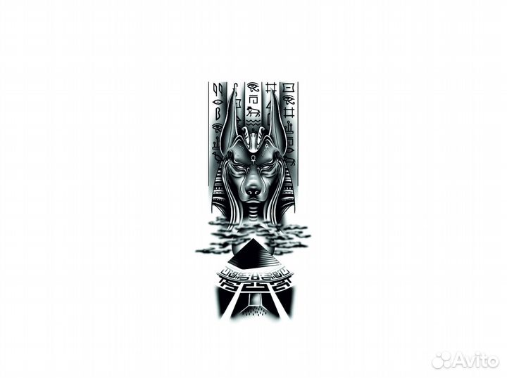 Художник иллюстратор. Дизайнер