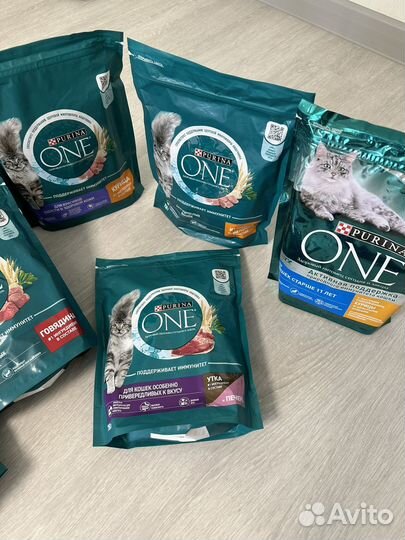 Корм для кошек purina one