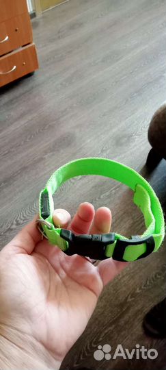 Светящийся ошейник и шлейки