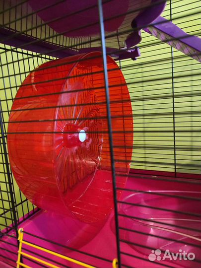 Клетка для сирийского хомяка, крыс