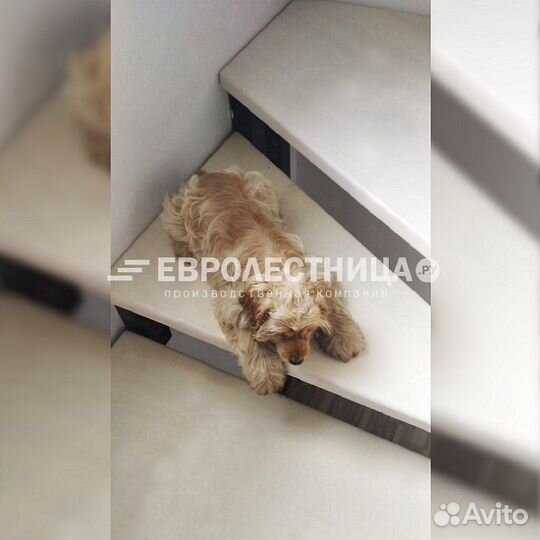 Лестница для коттеджа