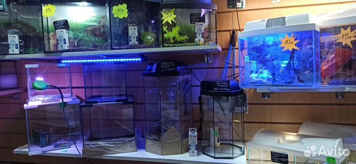 Аквариум для рыбок - большой выбор