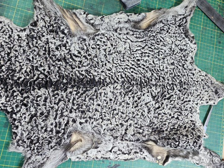 Каракуль шкурка