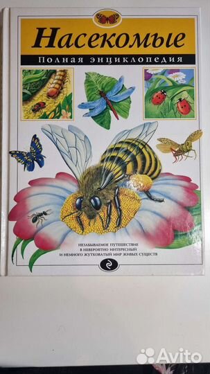 Энциклопедия Насекомые