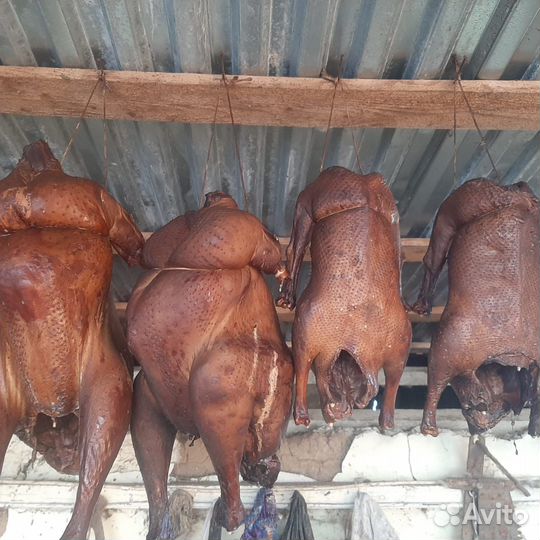 Копченое и свежее мясо птицы