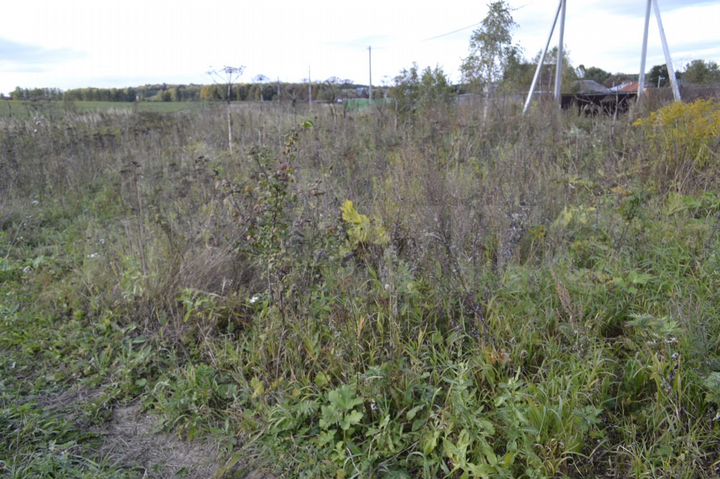 Участок 25 сот. (ИЖС)