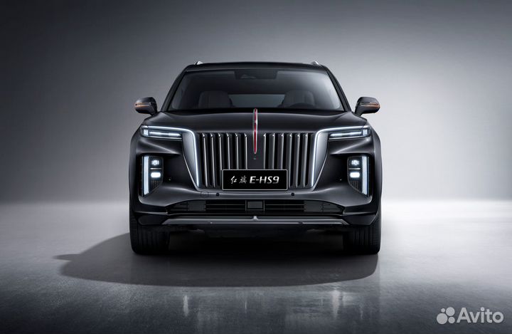Hongqi E-HS9 AT, 2021