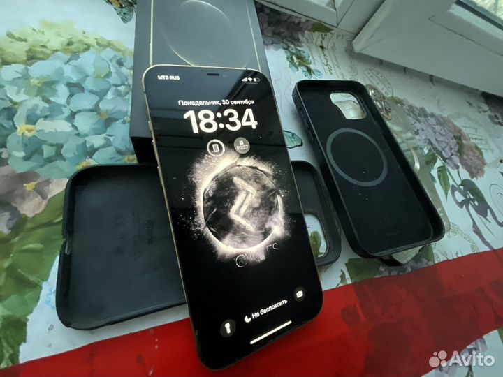 iPhone 12 Pro Max, 256 ГБ
