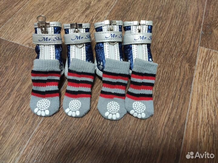 Обувь для животных