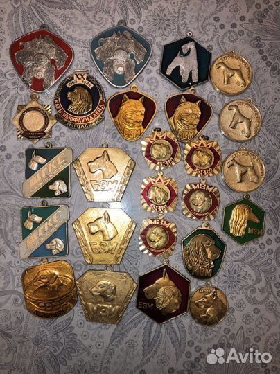 Собачьи медали и жетоны, значки, кубок