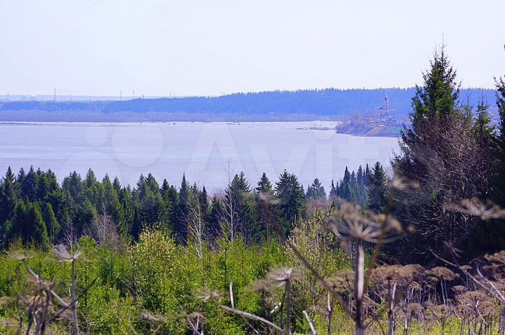 Участок 100 сот. (ИЖС)