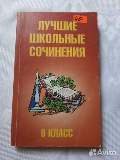 Лучшие школьные сочинения