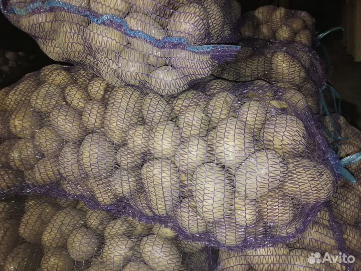 Продам картофель