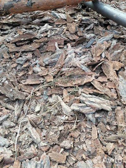 Кора сосны (мульча)