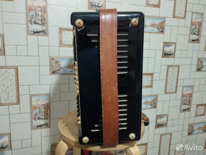 Баян тульский терка