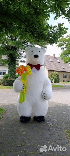 Белый мишка на праздник