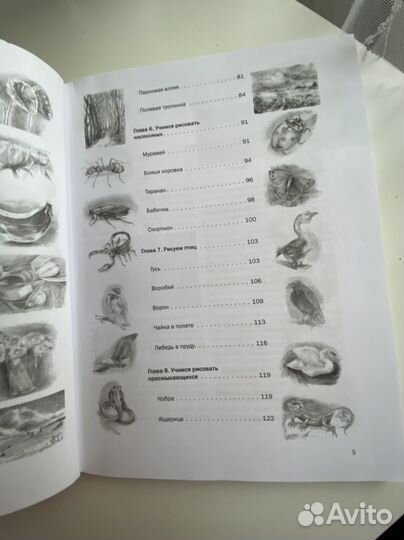 Пошаговые уроки рисования