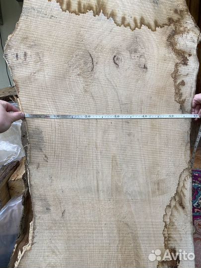 Слэб каштана 160см высота толщина 65мм