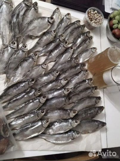 Вобла астраханская (вяленая рыба)