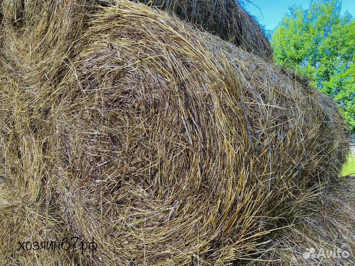 Сено в рулонах 2023