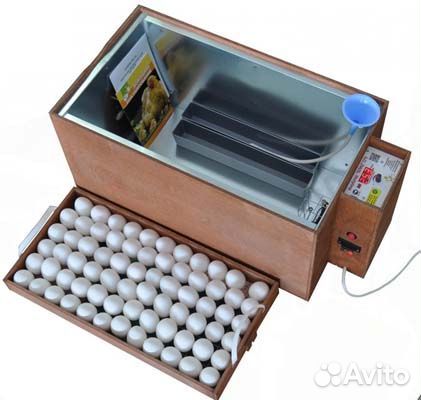 Инкубатор для яиц блиц 72 цифровой