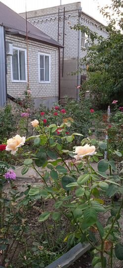 Дом 70 м² на участке 4,5 сот.