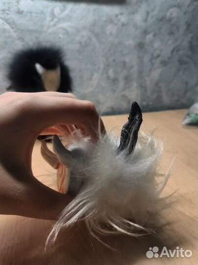 Геншин импакт лот