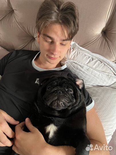 Репетитор по математике егэ огэ (1-11 класс )