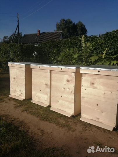 Улья для пчёл