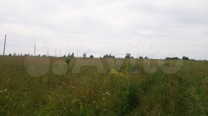 Участок 98 сот. (СНТ, ДНП)