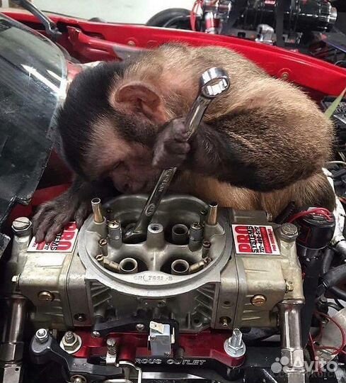 Карбодед Братск