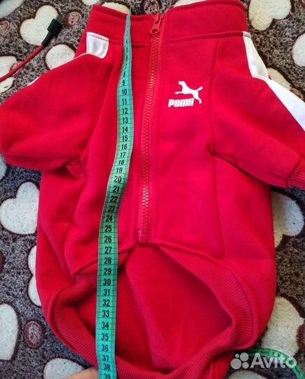 Толстовка худи для собак