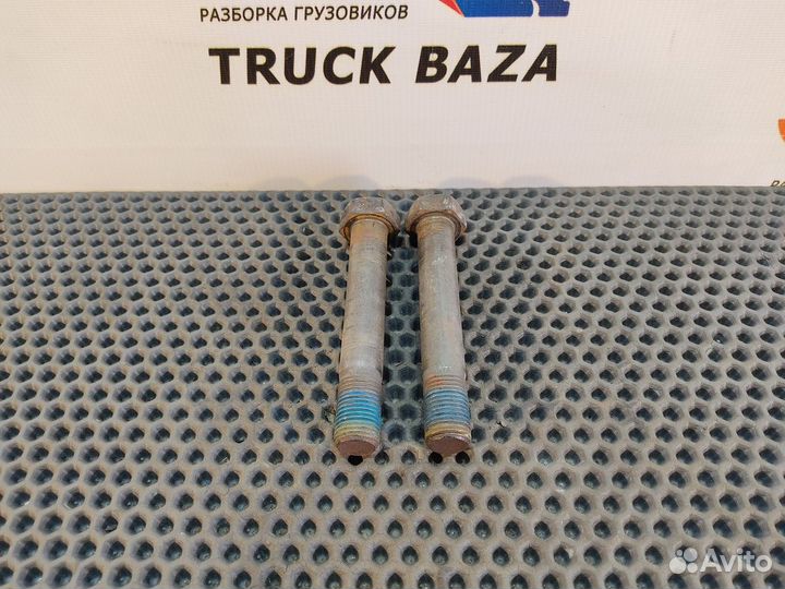 06028390018 Комплект болтов рессоры задней