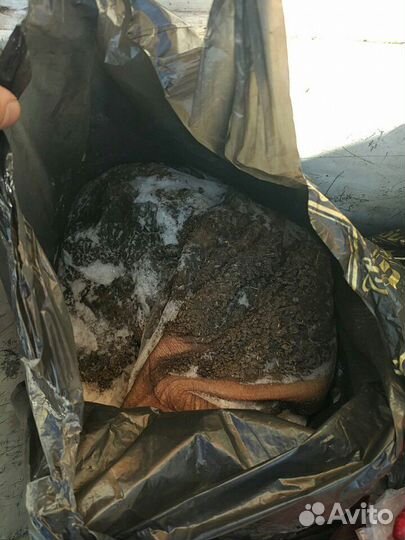 Рубец говяжий натуральный корм мясо для собак