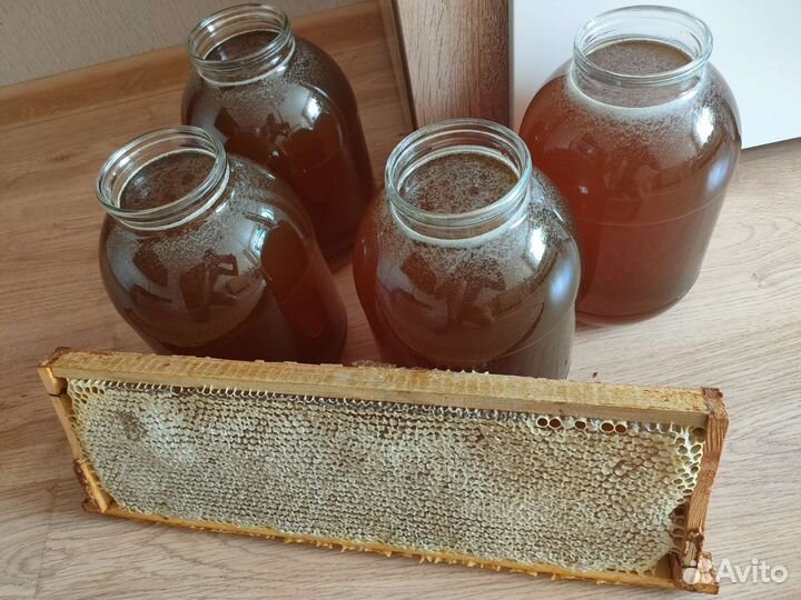 Мед чувашский, настоящий,свежий,2024г