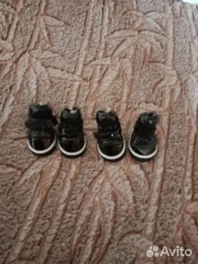 Одежда для собак мелких пород девочек