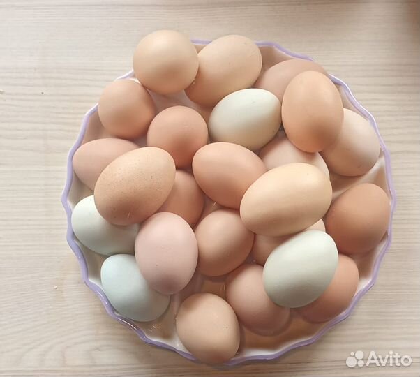 Домашние куриные яйца