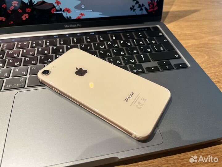 iPhone 8, 64 ГБ